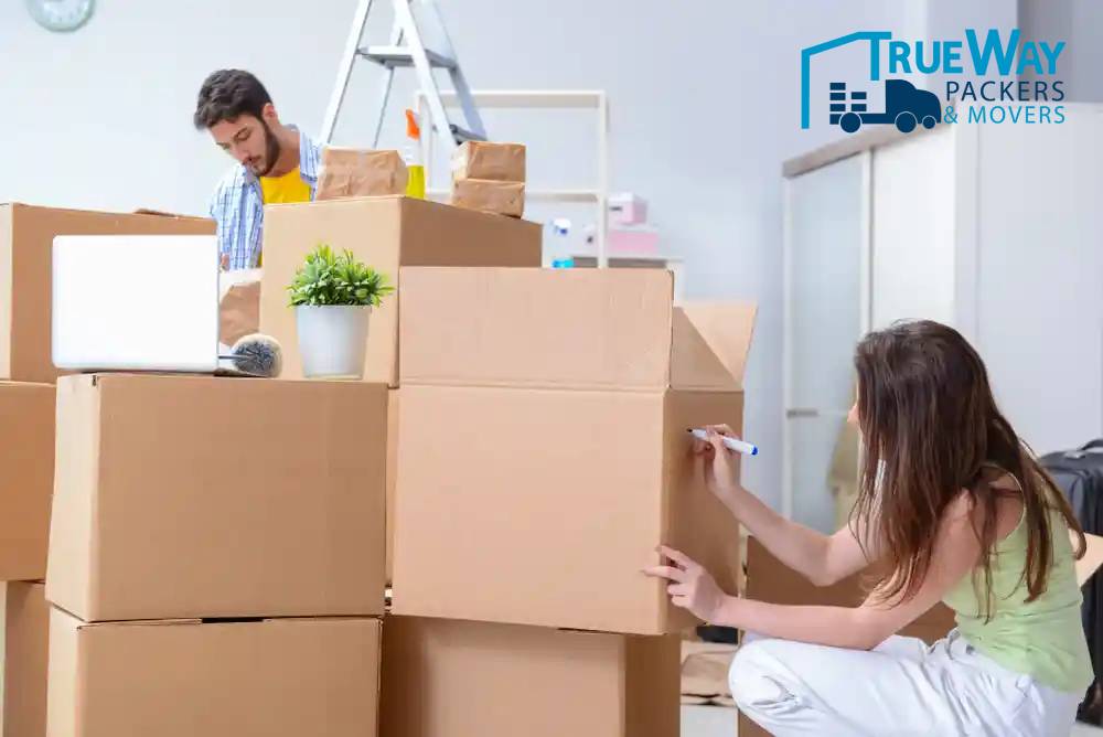 Shutterstock 1008554956