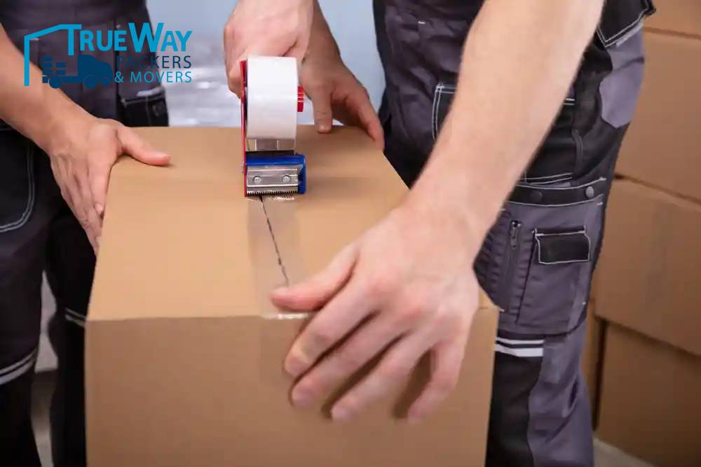 Shutterstock 1529073902 (1)