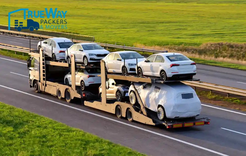 Shutterstock 1903907530