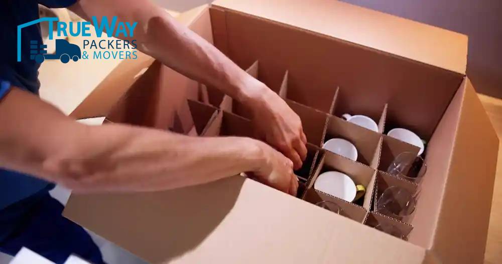 Shutterstock 2322440869