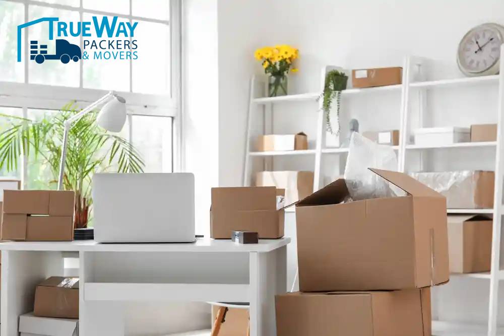 Shutterstock 2326723559 (1)