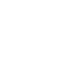 All India Service