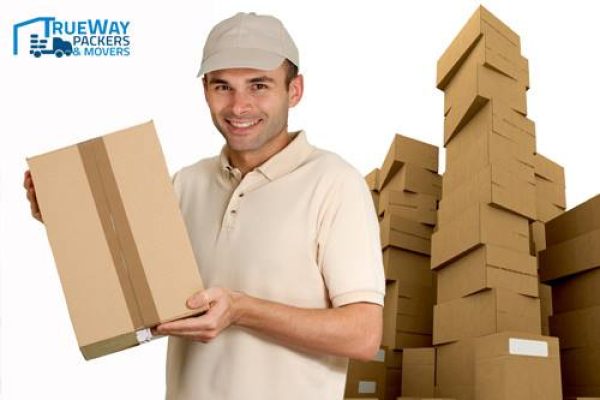 <strong>TRUEWAY PACKERS AND MOVERS IN JAIPUR</strong>