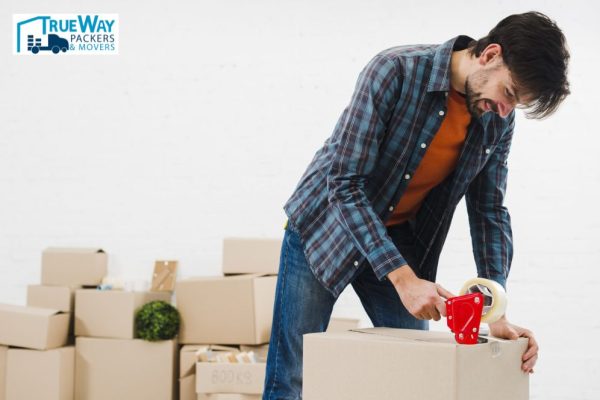 <strong>TRUEWAY PACKERS AND MOVERS IN AHMEDABAD</strong>