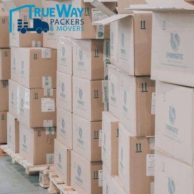 Jake nebov l z5m0qwt s unsplash min pylnd5biirwjpopa44quo4pcff56vxdz4i2o87wdk0 (1)